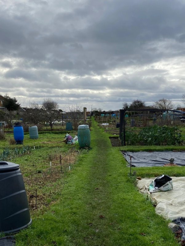 Picture of allotments. Caption: Allotments provide opportunities for local food growing. 
