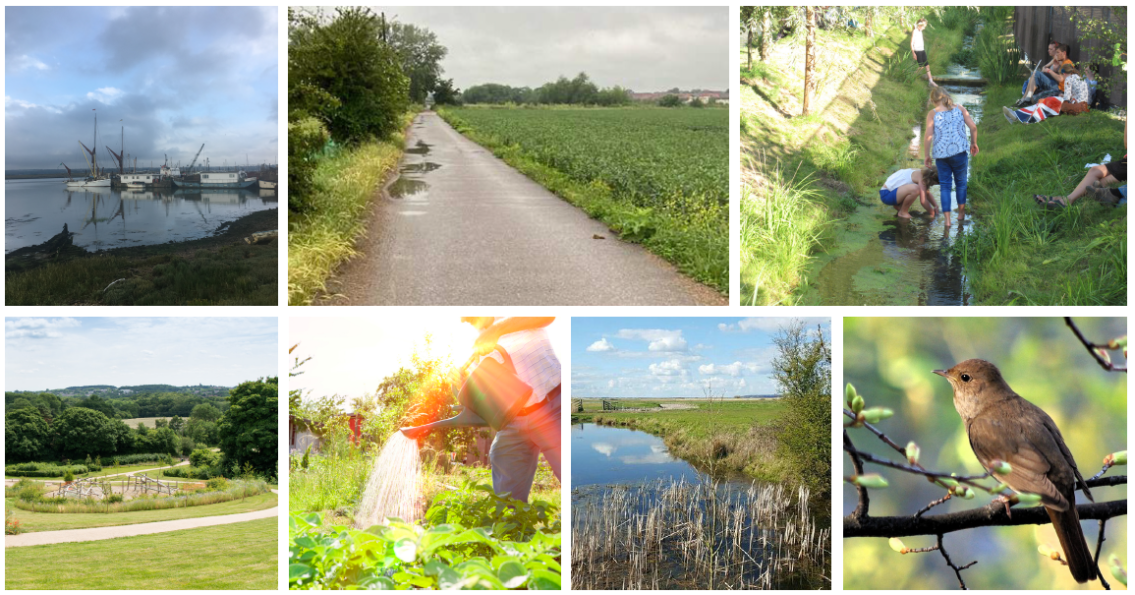 Various images of: boats at sea, a country lane with puddles, children playing in a river, the countryside, person watering plants, a river, a brown bird in a budding tree. 