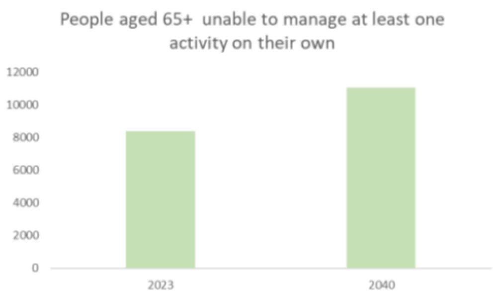 Figure 3: Older Persons Need